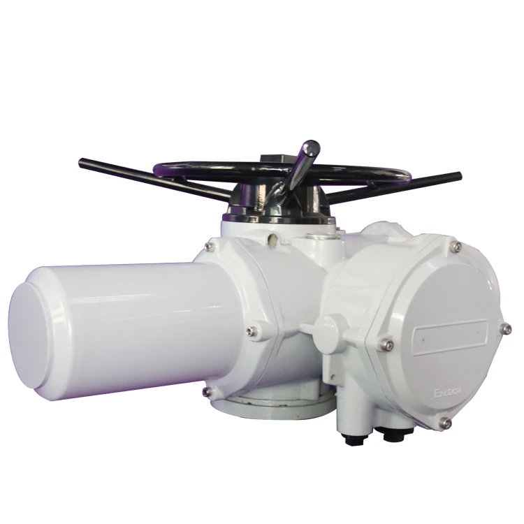 Electric actuator Protection level Electric actuator Protection level