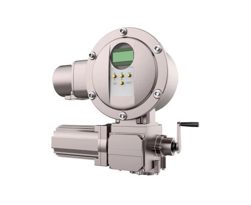 Arukas sagedusmuunduriga ajam