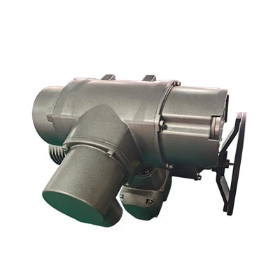 Mitme pöördega mootori ajami maaklapi elektriline ajam